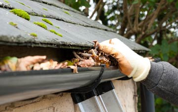 gutter cleaning Camperdown, Tyne And Wear
