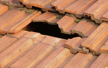 roof repair Camperdown, Tyne And Wear